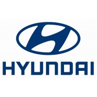 Ricambi e componentistica per auto Hyundai
